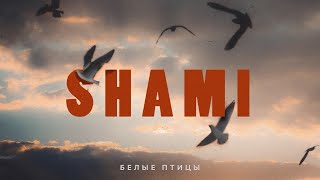 SHAMI - Белые птицы (Премьера трека, 2022)