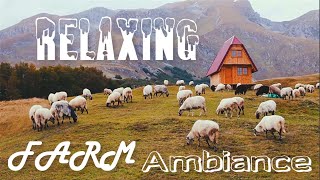 Relaxing Farm Animal Sounds | Farm Ambience Domestic Animals | Calming Farm Background