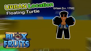 URBAN location Floating Turtle Blox Fruits 2023