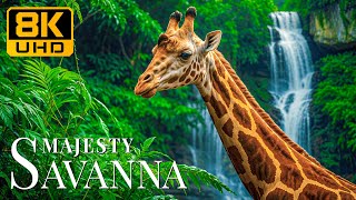 Savanna Majesty 8K UHD 🦁 Marvel At African Predators With Soothing Melodies