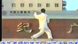 形意八卦掌 Xingyibaguazhang - Walking the Circle