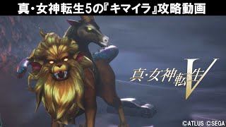 真女神転生5 キマイラの攻略動画【メガテン5】