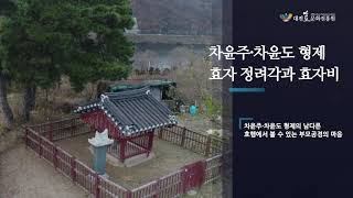 한국의 효문화 유무형자산 대전광역시 대덕구편