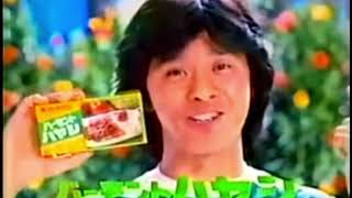 1982年　ハウスバーモントカレー　CM