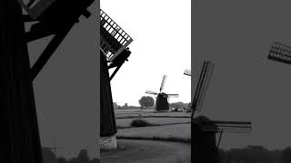 The Dutch Windmill: Powering a Nation