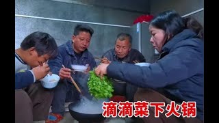 20250111-农村又到吃滴滴菜季节，媳妇挖了一桶下火锅，味道太好根本不够吃