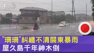 「珊珊」糾纏不清關東暴雨 屋久島千年神木倒｜TVBS新聞