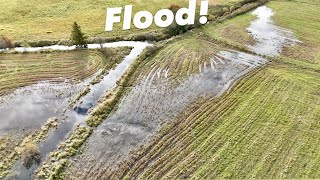 Beaver Dam Caused a Massive Flood! Time to Drain It!