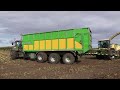 maïs 2024 xavier schoonbroodt met 5x fendt 900 serie met 3 assers krone big x maize harvest