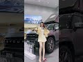 20241228 捷途汽车—六安名都