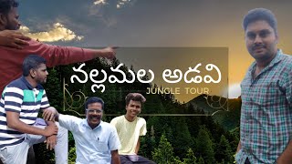 ||నల్లమల అడవి యాత్ర || lNallamala forest tour | #themorningstar #rajkumarkoralla #forest #jungle