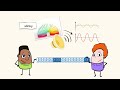 Wave behavior | MightyOwl Science | 4th Grade
