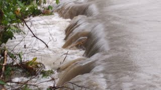 ভয়ানক বানপানী || Flood in our village || Assam flood