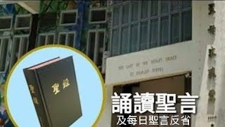 每日誦讀聖言（路9：28-36）