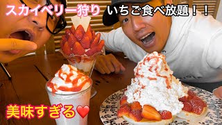 『スカイベリー』　究極のイチゴ。美味すぎる！！