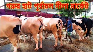 গরুর হাট পূর্বাচল নীলা মার্কেট purbachal new town