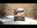 LAND ROVER DEFENDER OVERLAND- AMAZING SCENERY FOG-SNOW-ICE- INCREÍBLES PAISAJES NIEBLA, NIEVE, HIELO