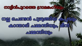 വൈകുനേരത്തെ ഞങ്ങളുടെ വിശേഷങ്ങൾ ഇതൊക്കെയാണ്  villege vlog | village life |