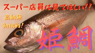 【魚の捌き方】スーパー店員は見てほしい。ヒメダイ夏の高級魚。