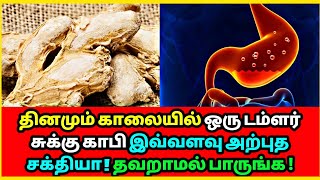 தினமும் ஒரு டம்ளர் சுக்கு காபி இவ்வளவு அற்புத சக்தியா | Dry Ginger | Health tips | Ayurveda