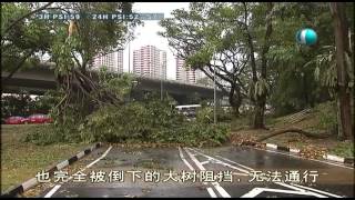 干燥天气持续多日　昨天下雨也下冰雹 - 25Jun2013