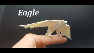 Origami Eagle 독수리 종이접기, 흰독수리 접는 법, Bald Eagle