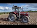 cumbrian farming 2024. classic mf 390t and mf 23 cultivator breaking up the soil.