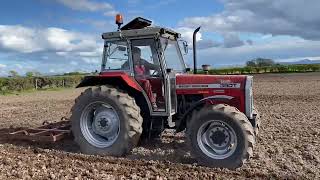 Cumbrian Farming 2024. Classic MF 390T and MF 23 cultivator breaking up the soil.