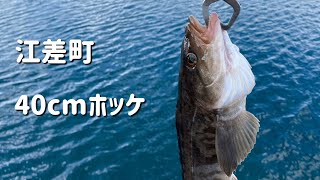 【2021年北海道江差釣り】ホッケ釣り