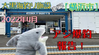 大黒海づり施設後編です。今回はぶっこみサビキで久しぶりにアジをツヌケできました！　#大黒海釣り施設　#横浜　#アジ　#釣り　#初心者