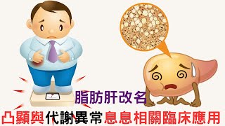 脂肪肝改名 凸顯與代謝異常息息相關｜好心肝˙好健康