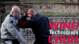 Wing Chun techniques wing chun kung fu - Palm strike and elbow
