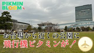 お台場に寄ったついでに取れる！飛行機ピクミンは普通の公園からでもゲットできるって知ってた？【ピクミンブルーム / Pikmin Bloom 】