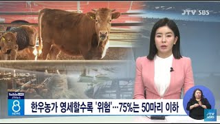 한우농가 영세할수록 '위험'... 75%는 50마리 이하