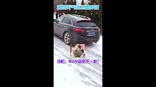 冰雪天气不要冲动也不要逮虾户( ´･･)ﾉ(._.`)