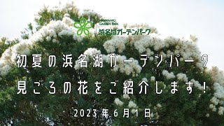 2023年6月1日　浜名湖ガーデンパークの初夏の花々