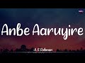 𝗔𝗻𝗯𝗲 𝗔𝗮𝗿𝘂𝘆𝗶𝗿𝗲 (Lyrics) - @ARRahman | SJ Suryah | Aararai Kodi /\ #AnbeAaruyire #AararaiKodi