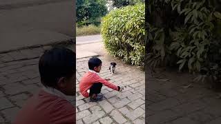 Puppy 🐶🐾#shorts #shortsvideo #cutebaby #reyansh #playwithanimals