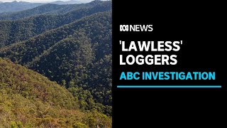 New data suggests illegal logging by Vic Government's logging agency | ABC News