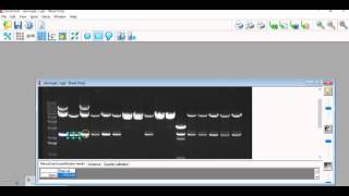 Genetools Manual Densitometry