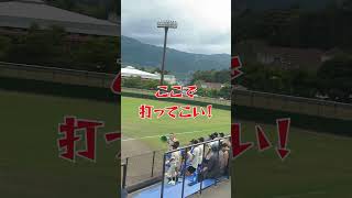 【高校野球⚾】本当に打ってきた！スタンドへのファールボール｜大分南 中津東 九州大会予選大分大会 in 臼杵フジジンの杜スタジアム2024秋