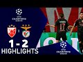 Crvena Zvezda vs Benfica 1-2 Highlights Goals | Champions League 2024-25