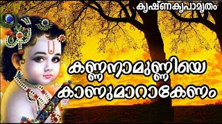 കണ്ണനാമുണ്ണിയെ കാണുമാറാകണം...  | Kannanaamunniye Kaanumaaraakanam... | Suresh C Kurup