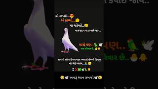 🕊️તારીખ14/15અમારૂં ધ્યાન રાખજો🕊️