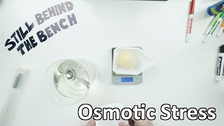 Ep 005 - Osmotic Stress