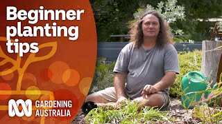 How to plant for beginners | Gardening 101 | Gardening Australia