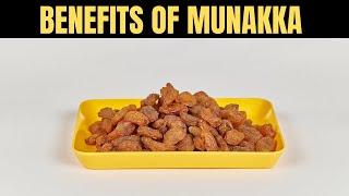 Munakka Secrets to Boost Your Energy FAST