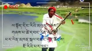 Tingri song ལ་སྟོད་དིང་རི་ཁུལ་དུ་ཆེས་སྙན་གྲགས་ཆེ་བའི་རྩ་སྐོར་ཚེ་དབང་རིན་འཛིན།