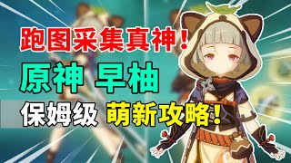 【原神】跑图采集真神如何培养？早柚保姆级萌新攻略来啦！#genshin