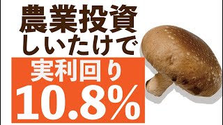 【利回り10.8%】今大注目の農業投資「コンテナ×しいたけ」